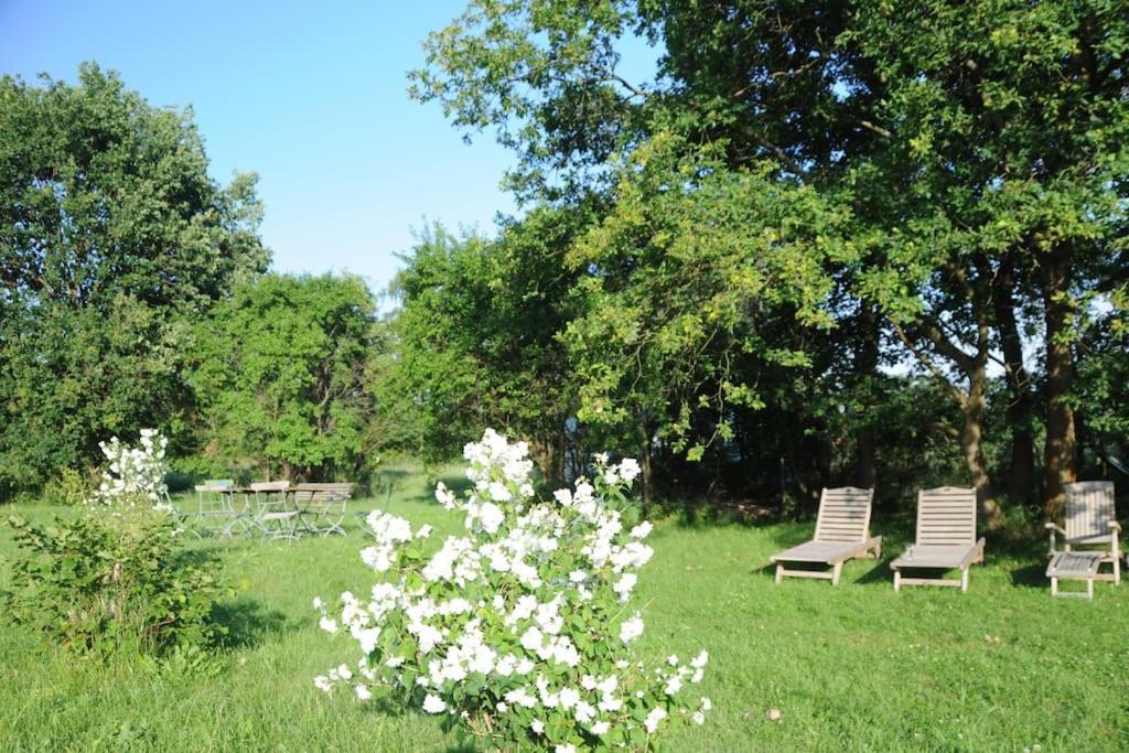 Romantisches Studio Am Waldesrand Mit Gartensauna Schwarz Exterior photo