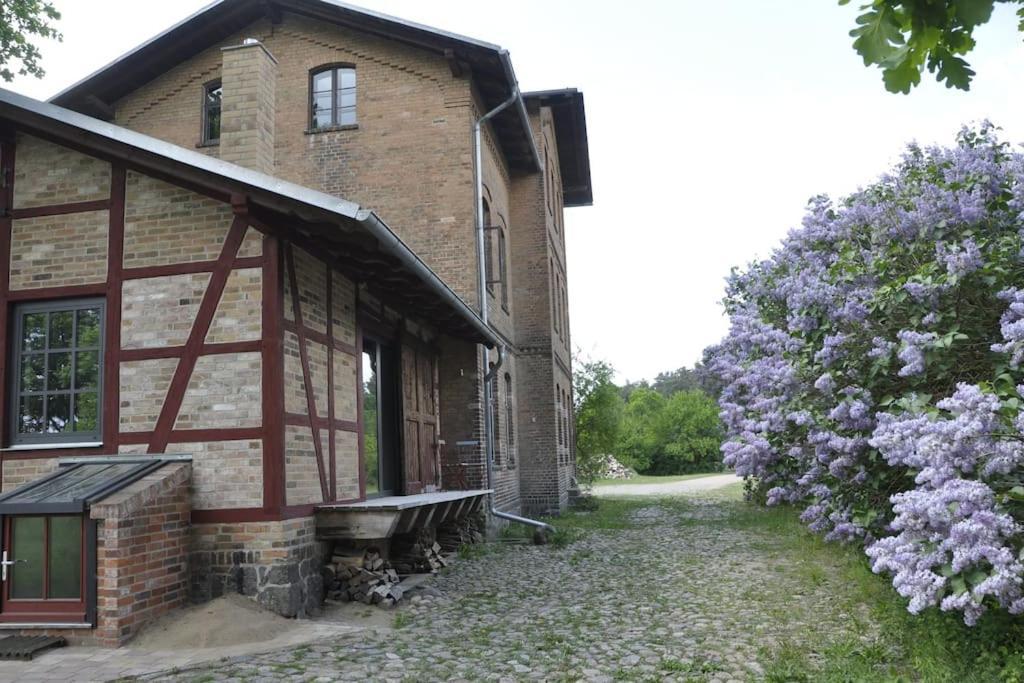 Romantisches Studio Am Waldesrand Mit Gartensauna Schwarz Exterior photo